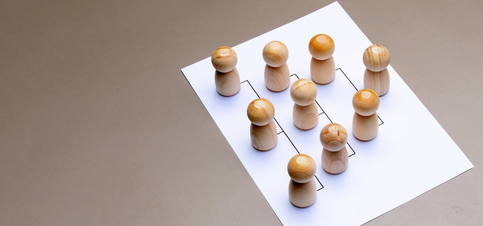 Organizational Aspects