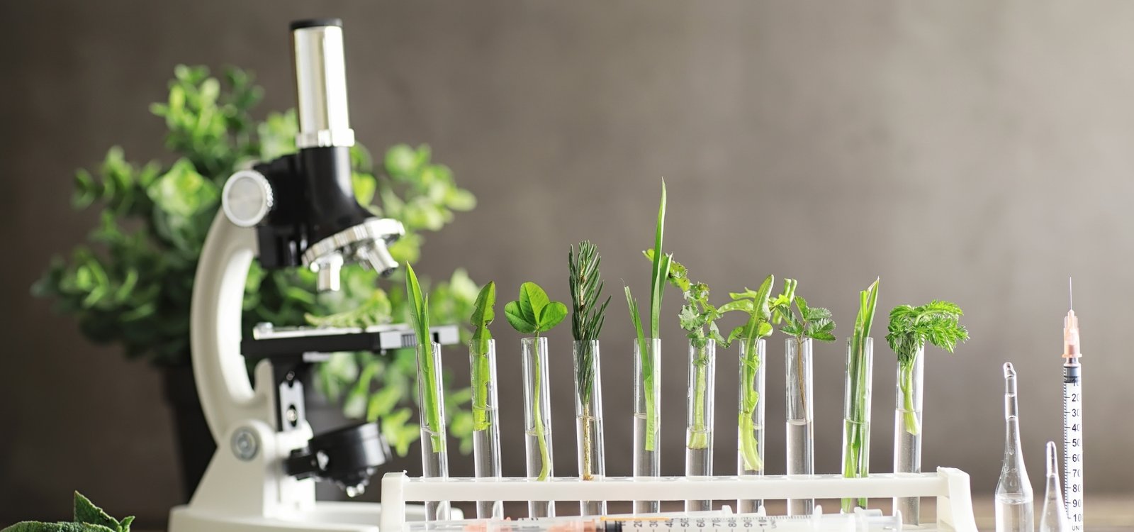 Research & Development