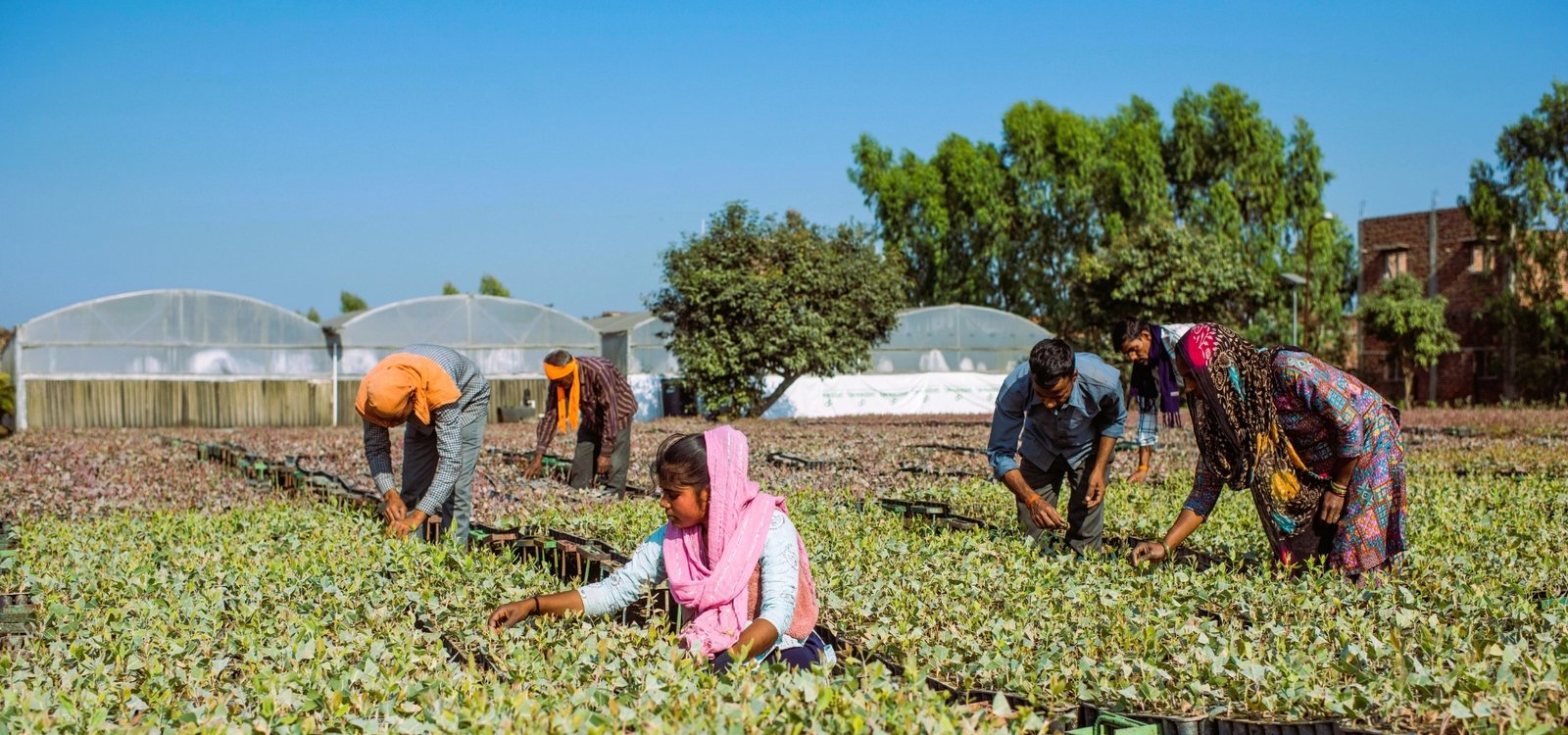 Sustainability Initiatives